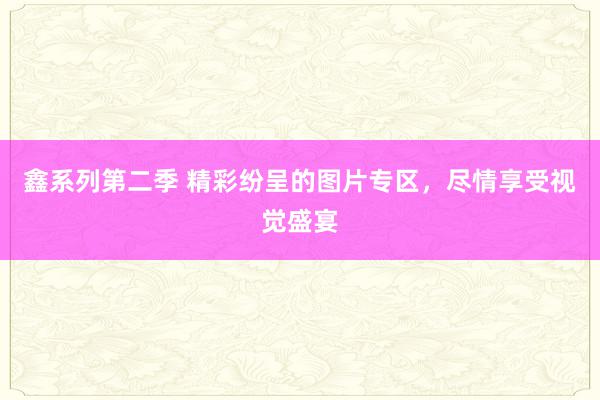 鑫系列第二季 精彩纷呈的图片专区，尽情享受视觉盛宴