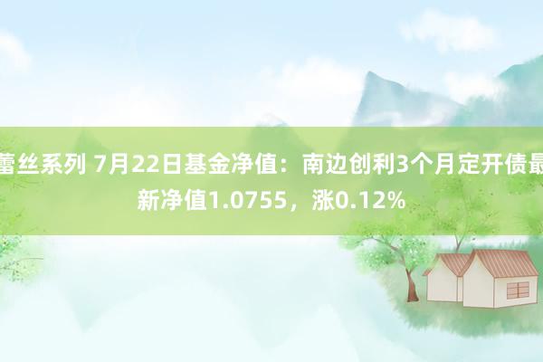 蕾丝系列 7月22日基金净值：南边创利3个月定开债最新净值1.0755，涨0.12%