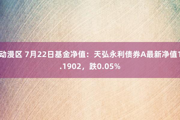 动漫区 7月22日基金净值：天弘永利债券A最新净值1.1902，跌0.05%