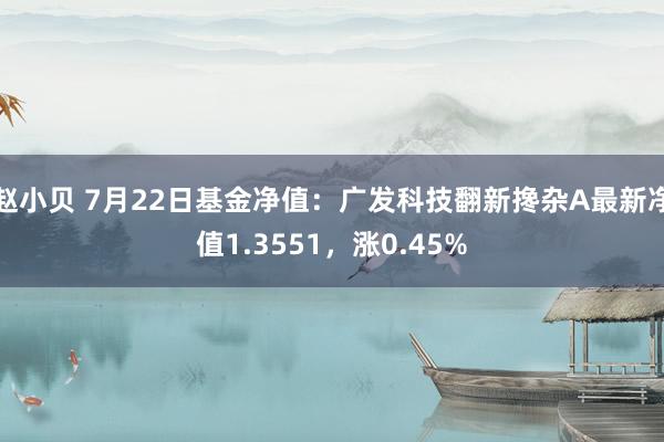 赵小贝 7月22日基金净值：广发科技翻新搀杂A最新净值1.3551，涨0.45%