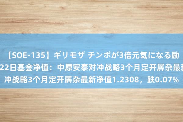 【SOE-135】ギリモザ チンポが3倍元気になる励ましセックス Ami 7月22日基金净值：中原安泰对冲战略3个月定开羼杂最新净值1.2308，跌0.07%