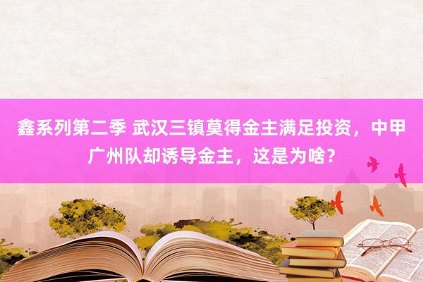 鑫系列第二季 武汉三镇莫得金主满足投资，中甲广州队却诱导金主，这是为啥？