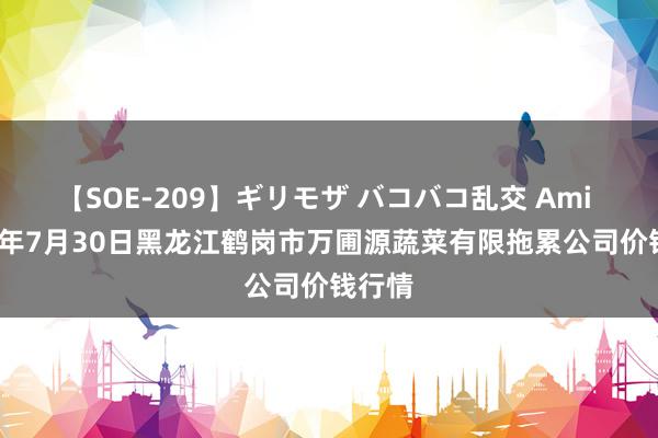 【SOE-209】ギリモザ バコバコ乱交 Ami 2024年7月30日黑龙江鹤岗市万圃源蔬菜有限拖累公司价钱行情