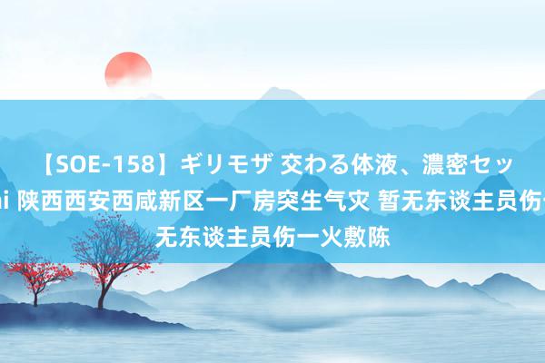 【SOE-158】ギリモザ 交わる体液、濃密セックス Ami 陕西西安西咸新区一厂房突生气灾 暂无东谈主员伤一火敷陈