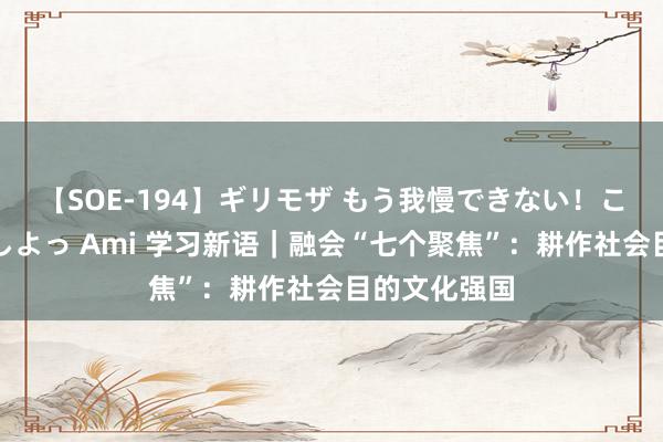 【SOE-194】ギリモザ もう我慢できない！ここでエッチしよっ Ami 学习新语｜融会“七个聚焦”：耕作社会目的文化强国