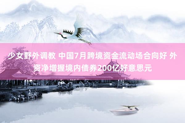 少女野外调教 中国7月跨境资金流动场合向好 外资净增握境内债券200亿好意思元