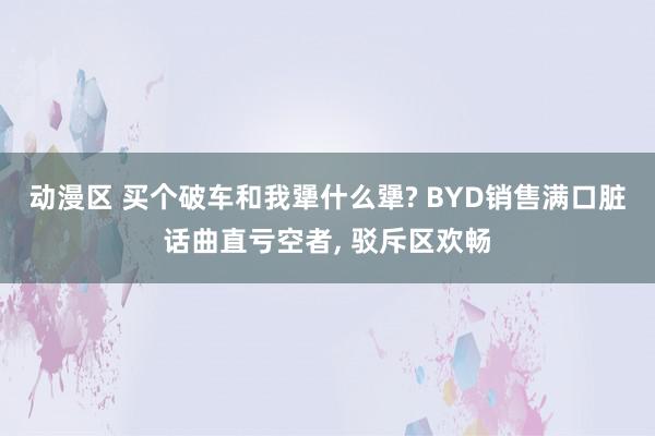 动漫区 买个破车和我犟什么犟? BYD销售满口脏话曲直亏空者, 驳斥区欢畅