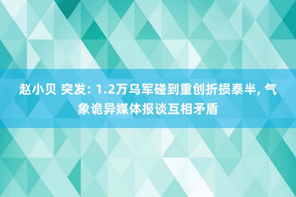 赵小贝 突发: 1.2万乌军碰到重创折损泰半, 气象诡异媒体报谈互相矛盾