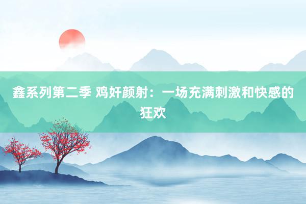 鑫系列第二季 鸡奸颜射：一场充满刺激和快感的狂欢