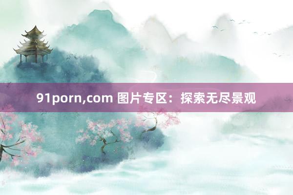 91porn,com 图片专区：探索无尽景观